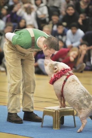 Nelsen Middle School choir director Brian Hoskins kisses Snort during a recent assembly at the school. Snort is a member of the Valentines Performing Pigs of Gig Harbor.