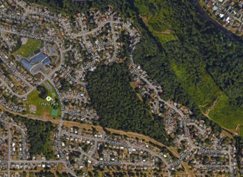The 21.6-acre wooded property set for development in the Tiffany park neighborhood can easily be seen on this aerial image.