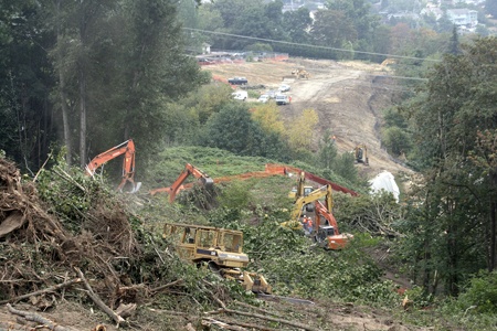 Crews this week have cleared the hillside between Cedar Avenue and I-405 near City Hall to make room for about 200