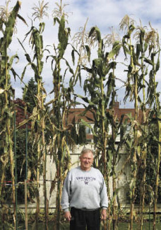 Wyman Dobson stands in front of a row of 14-foot-tall corn that he grew in his home garden near the Cedar River Trail.