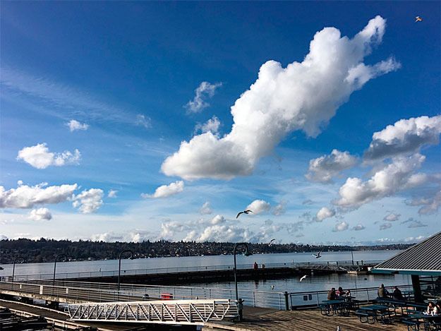 Gene Coulon Park was buzzing with activity as residents took advantage of the only sunny day last week.