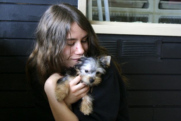 Customer Stormi Richter snuggles with a terrier in the puppy pin at the Fairwood Pet Center. The center
