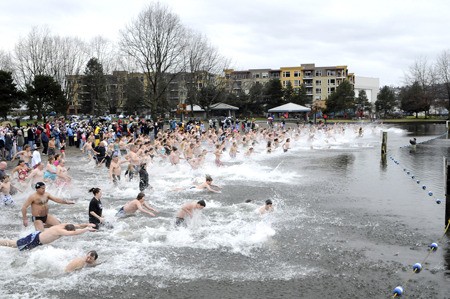 A crowd estimated at about 125 swimmers takes the plunge into the chilly waters of Lake Washington at Gene Coulon Memorial Beach Park New Year’s Day as part of the annual Polar Bear Dip put on by the City of Renton and Ivar’s.