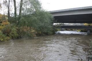 The Cedar River is running high through Renton