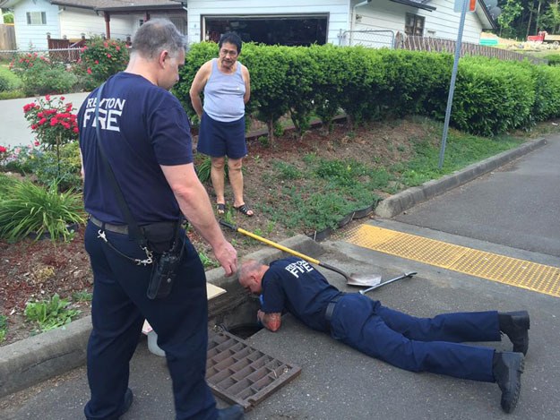 Firefighters rescue five ducklings that were seen falling into a sewer.
