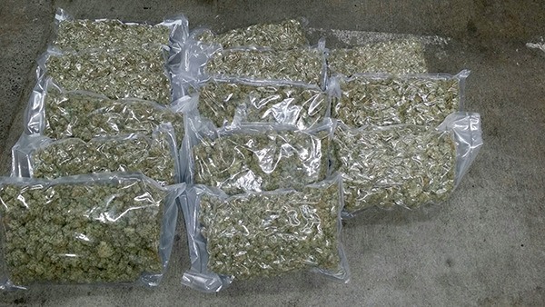 About $2 million worth of marijuana and about $440