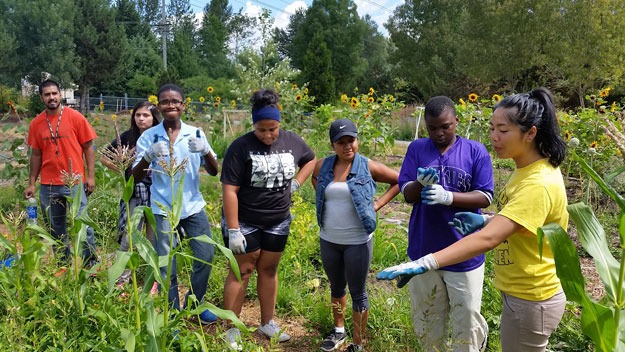 Youth in Skyway Solutions ARTfarm project get a lesson in agriculture from a CitySoils representative.