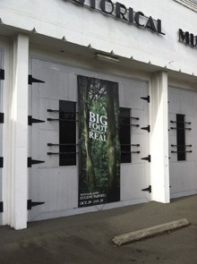 A young man stole this banner Tuesday promoting the 'Bigfoot is Probably Real' exhibit at the Renton History Museum.