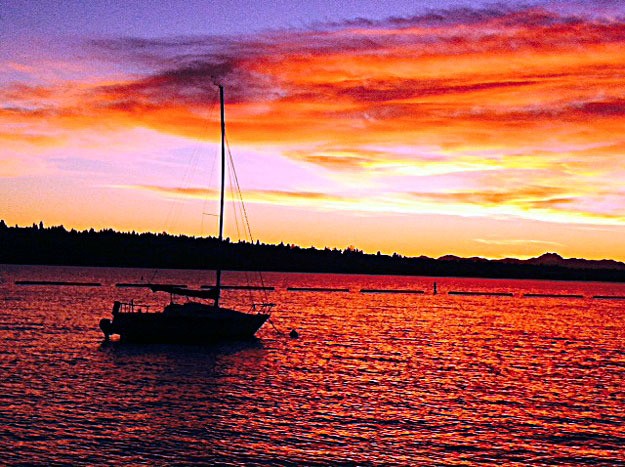You don’t need to go far to catch the gorgeous colors of the sunset. Lisa Jensen captured this photo at Gene Coulon Memorial Beach Park.
