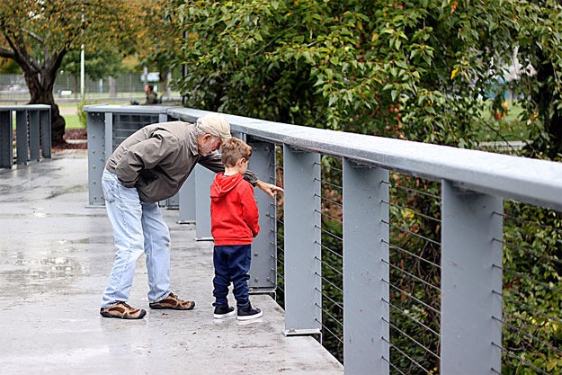A father shows his son salmon swimming upstream in the Cedar River outside the downtown library.