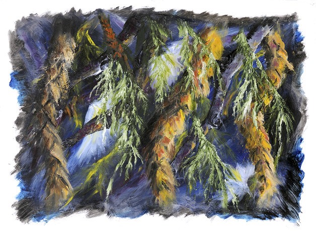 The latest work of oil painter John Smither revolves around a rough interpretation of the interplay between the cedar and blackberry plant forms.