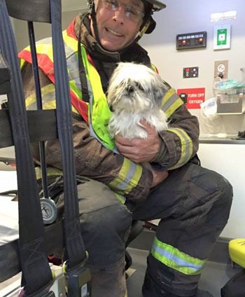 Renton Firefighter Tim Smith holds a dog he cared for following a car accident.