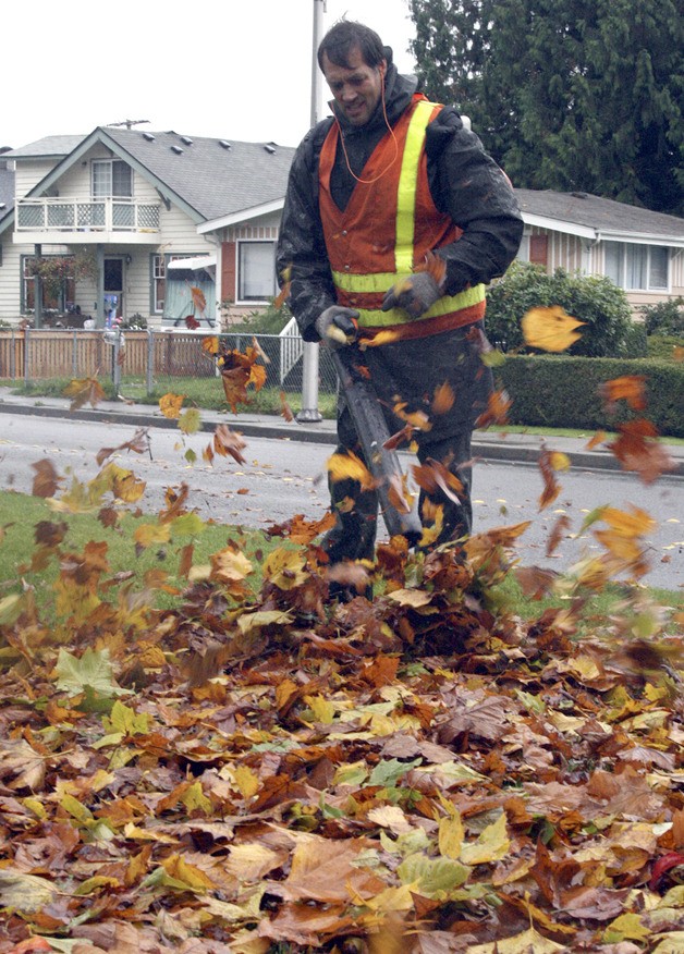 Mike Demory and others on a City of Renton maintenance crew were out on a soggy windy Tuesday clearing the Burnett Linear Park of leaves.
