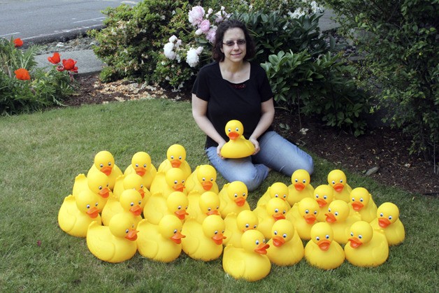 Evon Fuerst is surrounded by the 30 ducks at her Renton home that in about a week will start transforming into something very different for Duck Hunt III: A Case of Fowl Play.