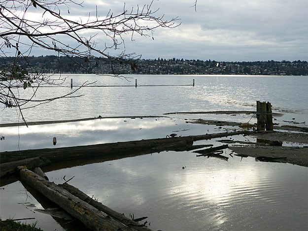 The sun breaks through after a drizzle right where May Creek empties into Lake Washington.