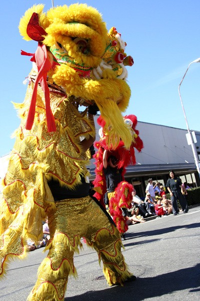 Chinese lion dancers perform at the Renton River Days parade in promotion of the International Festival