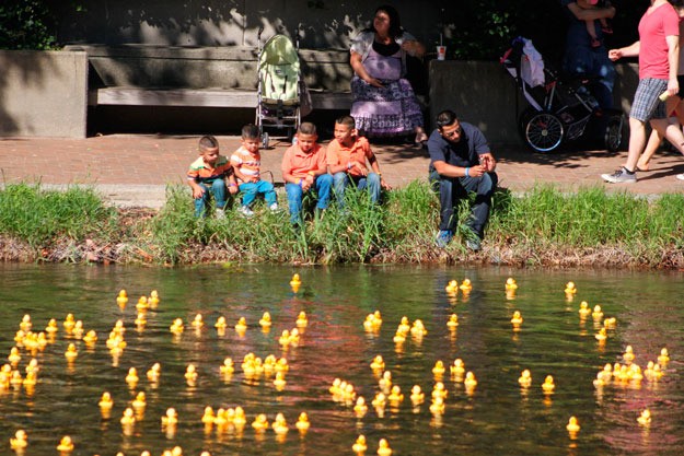 Residents watch the annual Duck Drop during the 2014 Renton River Days event.