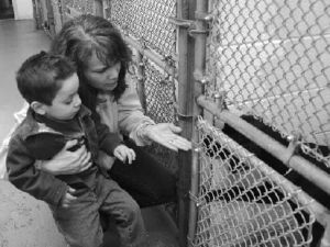 Lily Palido and her grandson Zane Anderson were at the Kent Animal Shelter Wednesday looking for a dog to adopt. King County has come under fire for the conditions in its shelter in Kent