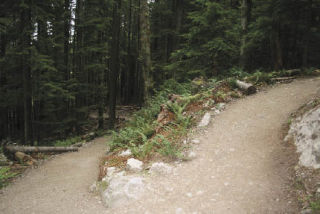 A corner on one of many switchbacks on West Tiger No. 3. The trail has more than 2