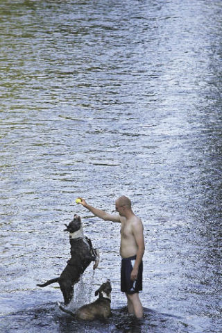 A man and his dog cool off in the Cedar River at Riverview Park