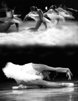 The Evergreen City Ballet will present “Swan Lake