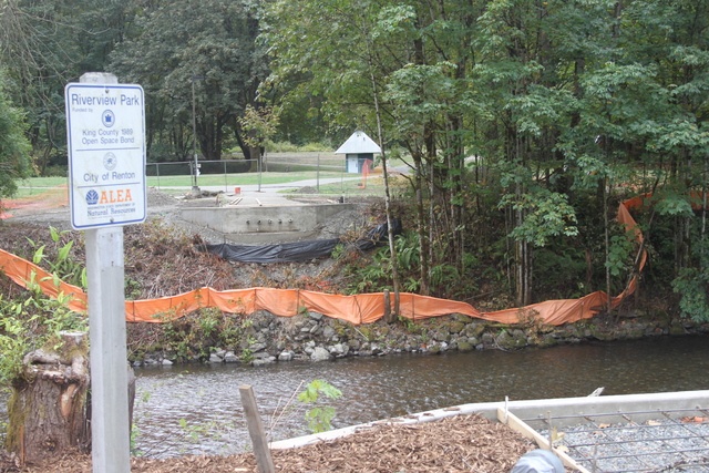 A new pedestrian will span the Cedar River at Riverview Park. File photo/Renton Reporter