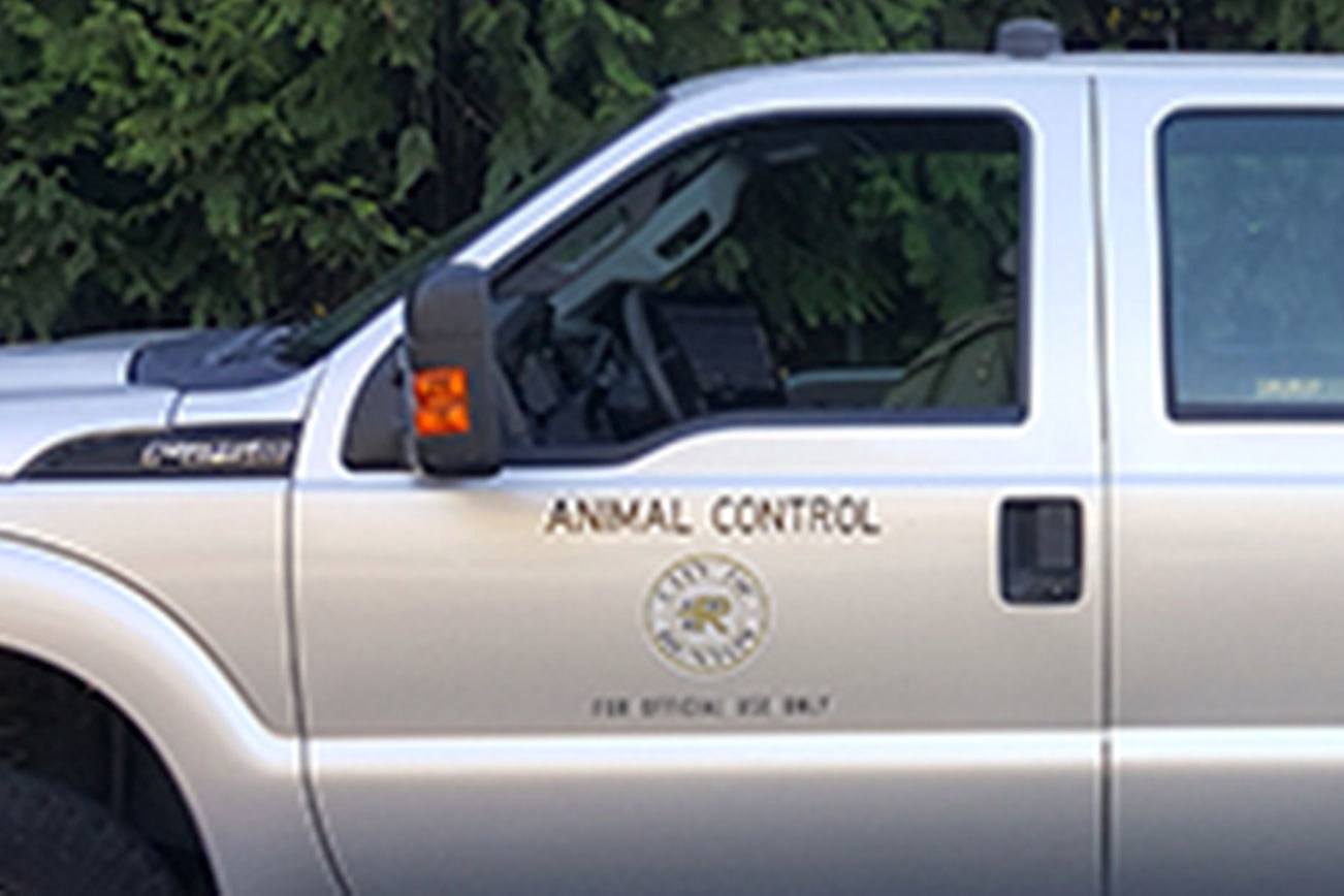 City reveals details of new animal control plan