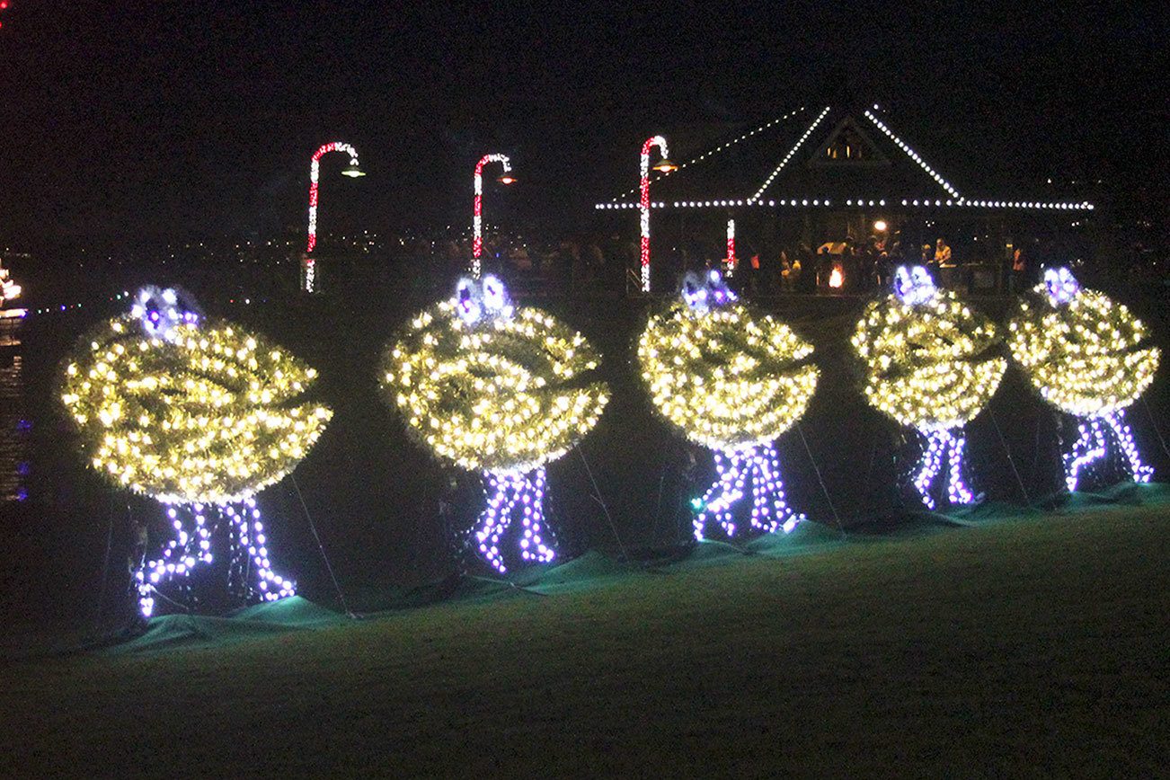 REMINDER: Annual Clam Lights opening night is tonight