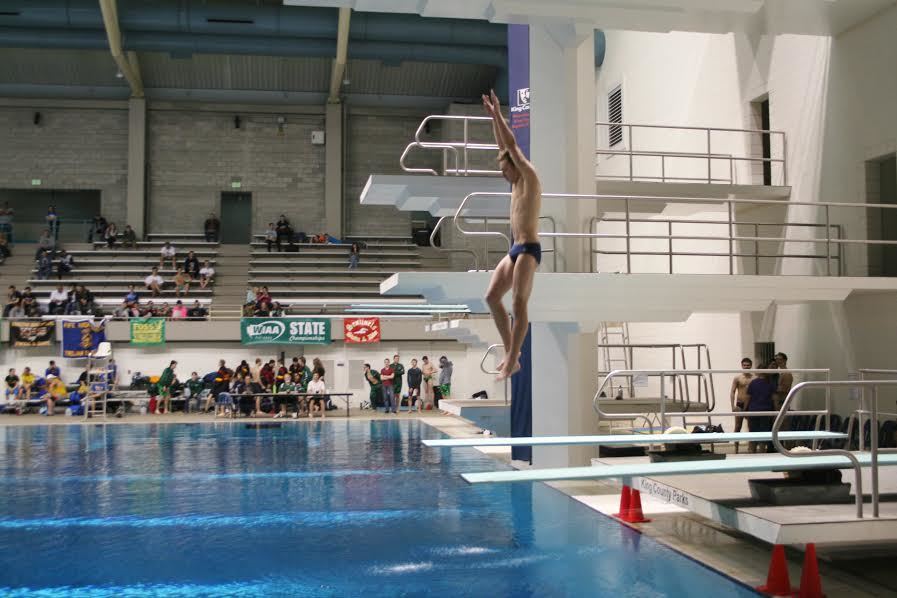 Lindbergh’s Derek Anderson wins state champion title in diving