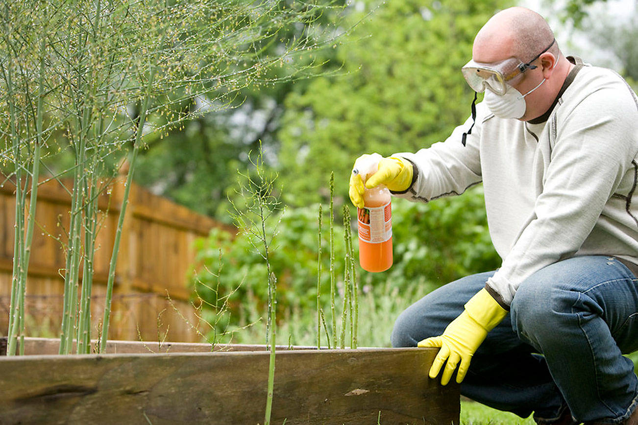 Pesticides are safe when used properly | THE EVERGREEN ARBORIST