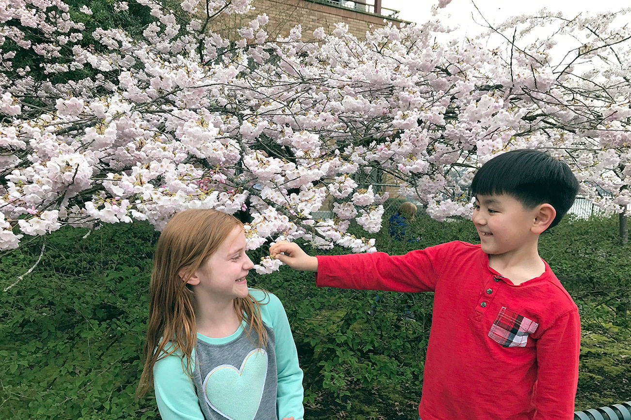 Mallory Ongstand, 8, and Joshua Polston, 7, enjoy the blooms Gene Coulon Memorial Beach Park has to offer. (Photo courtesy Nancy Polston)