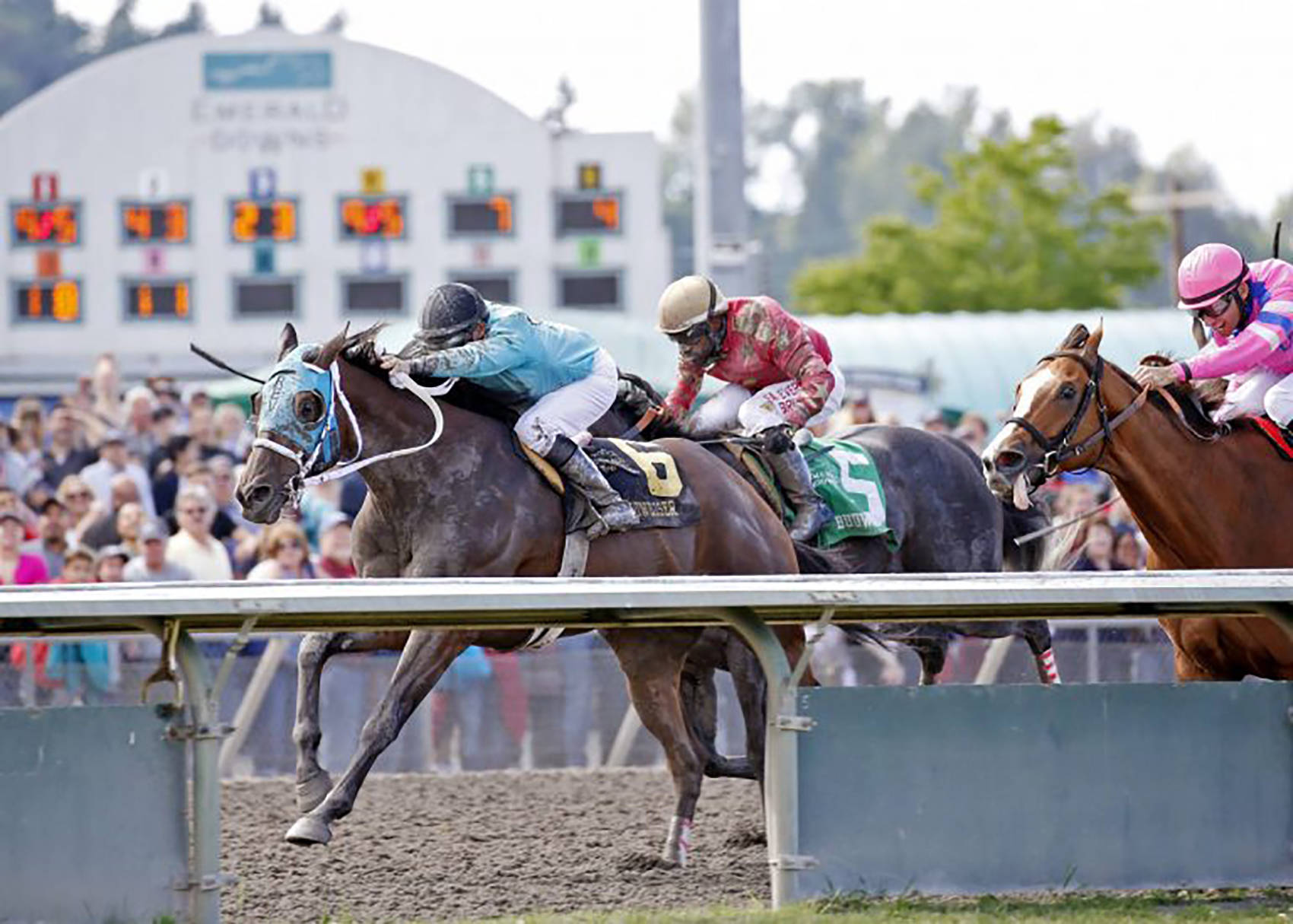 Mach One Rules, ridden by Isaias Enriquez, left, captures the $50,000 Budweiser Stakes for 3-year-olds and up at Emerald Downs on Sunday. COURTESY PHOTO