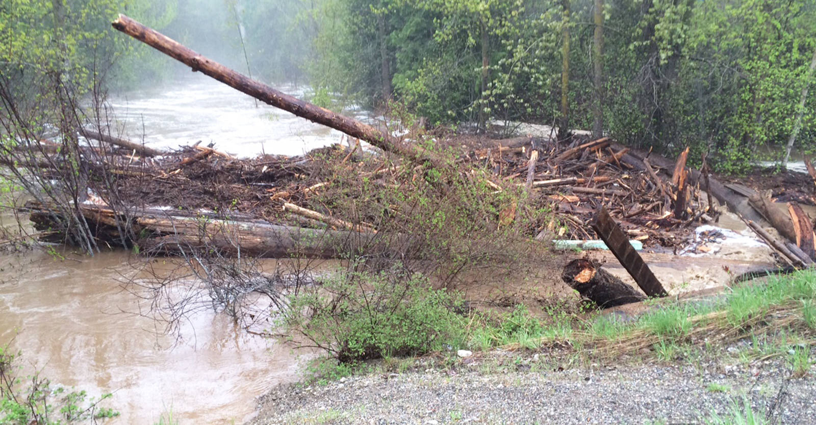 Logjam cleared from Cedar River, open for recreational use