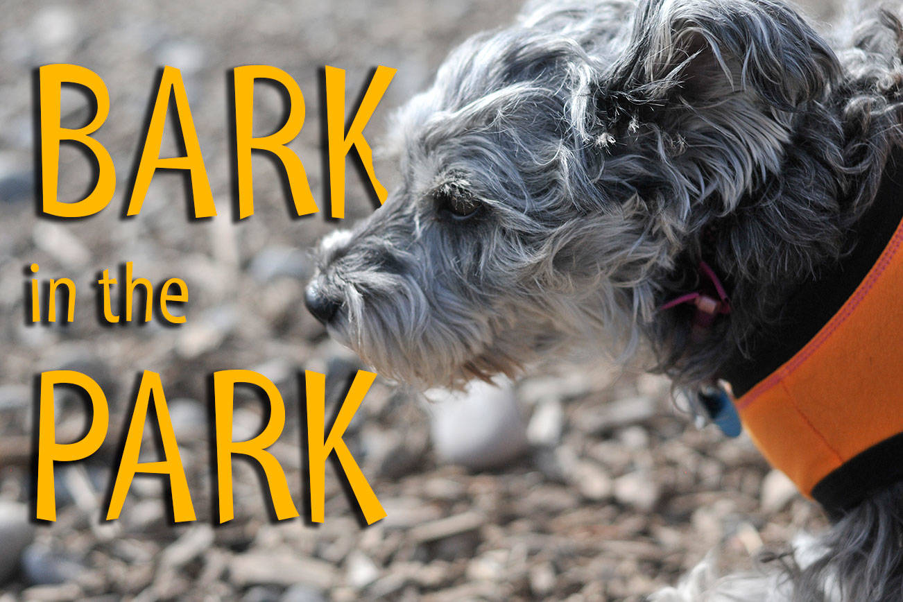 Bark in the Park | GALLERY
