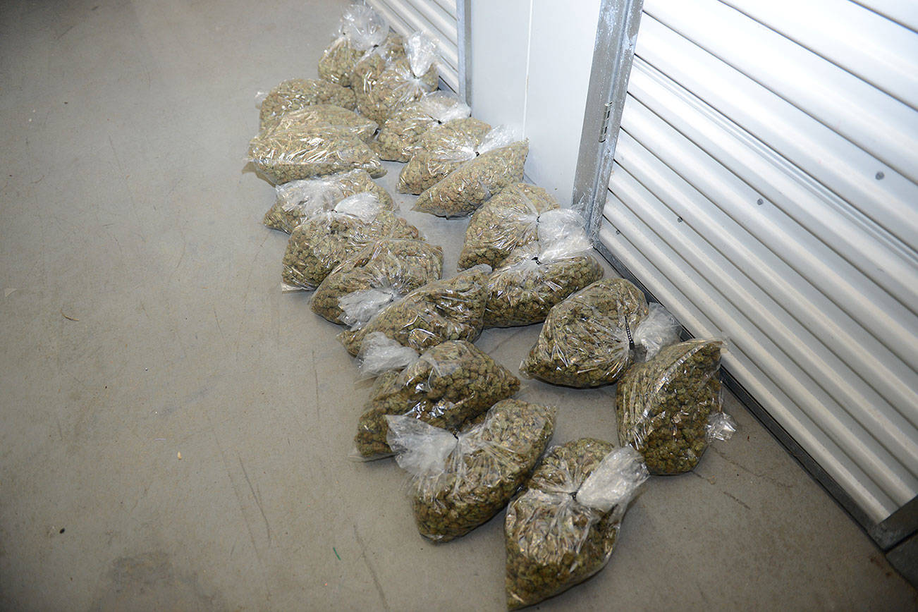 Detectives seize nearly $10 million of illegal marijuana in Renton, other cities