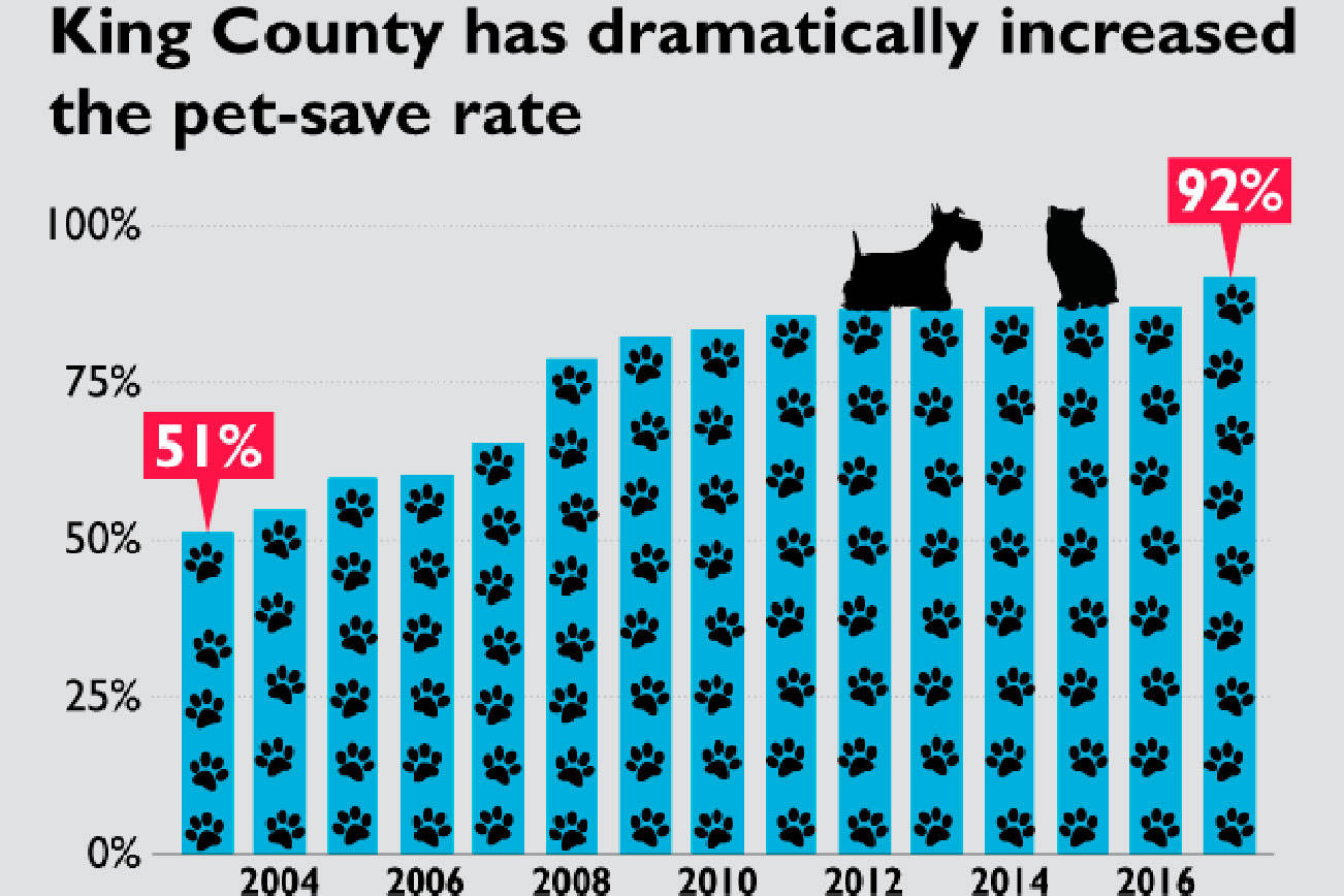 King County increased the pet adoption rate by a record 20 percent in a single year