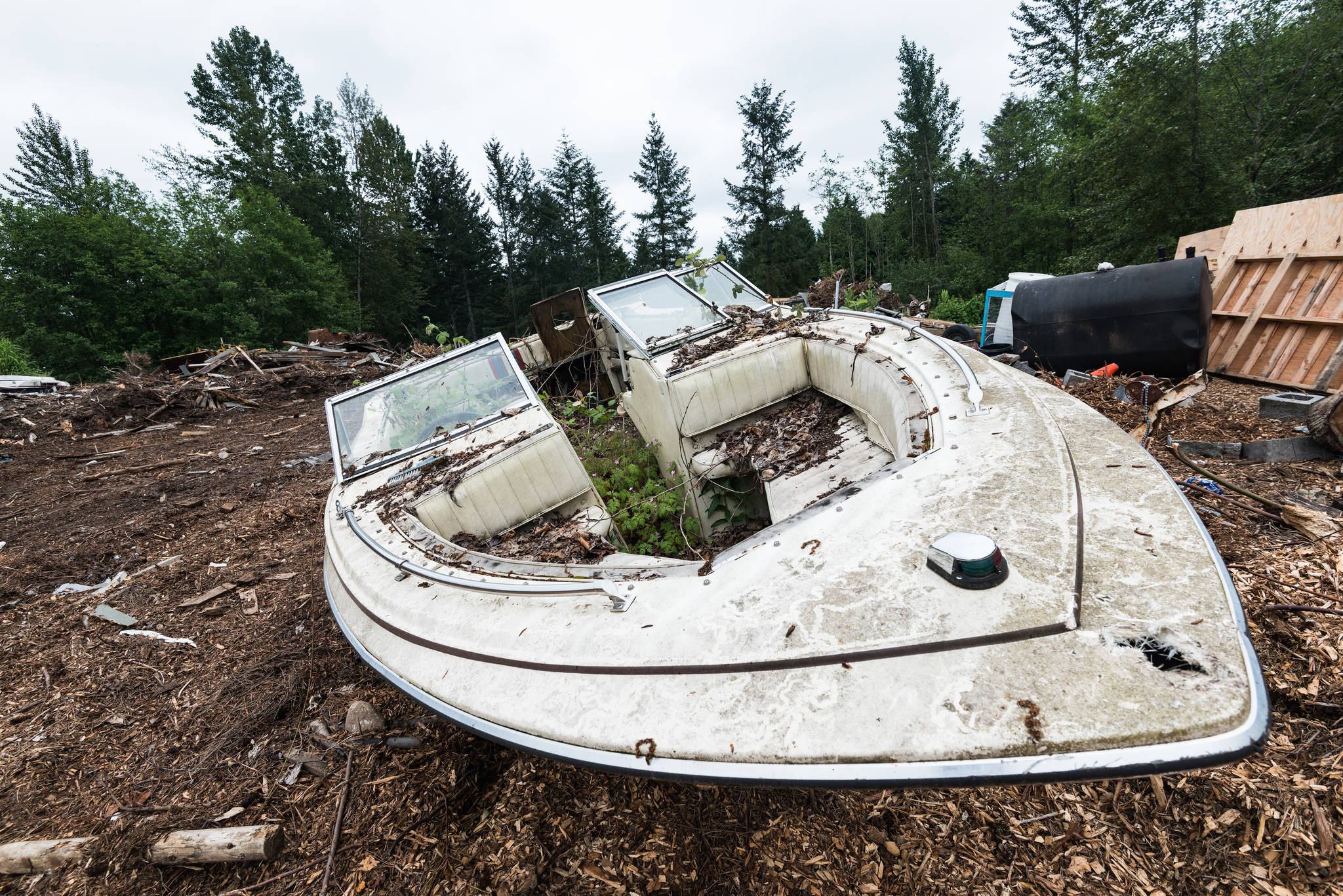 An old boat finds it’s new purpose as a plant pot. Many of the vehicles have sprouted plant life from within. Photo by Caean Couto