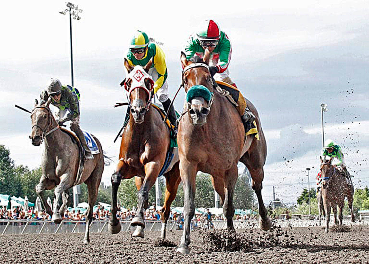 Courtesy photo Emerald Downs                                Diamonds R and Leonel Camacho-Flores score a $28.20 upset in the $50,000 Irish Day Stakes for 3-year-old fillies at Emerald Downs on Sunday.