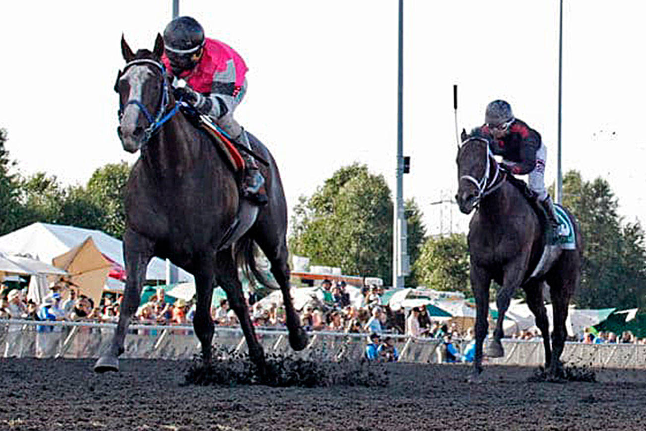 Sippin Fire scores convincing win in $50,000 Seattle Slew Stakes