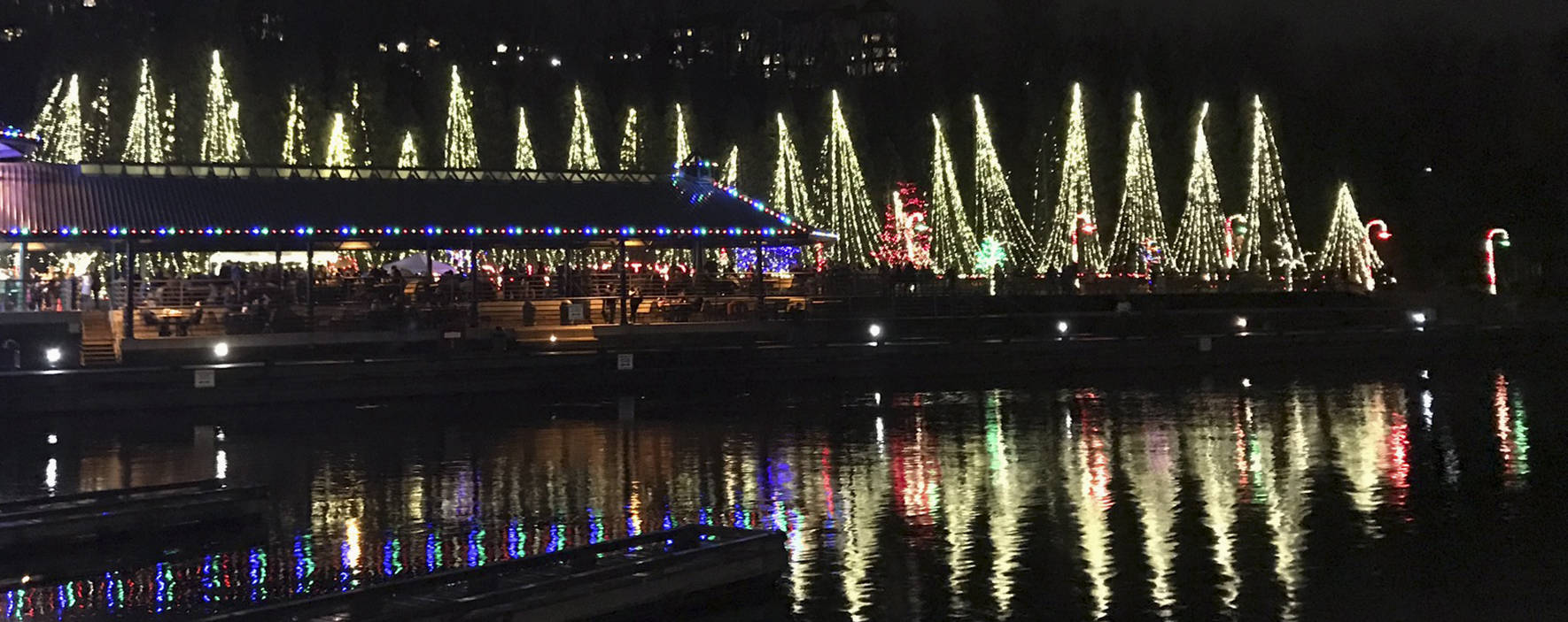 Gallery: Holiday cheer lights up the park