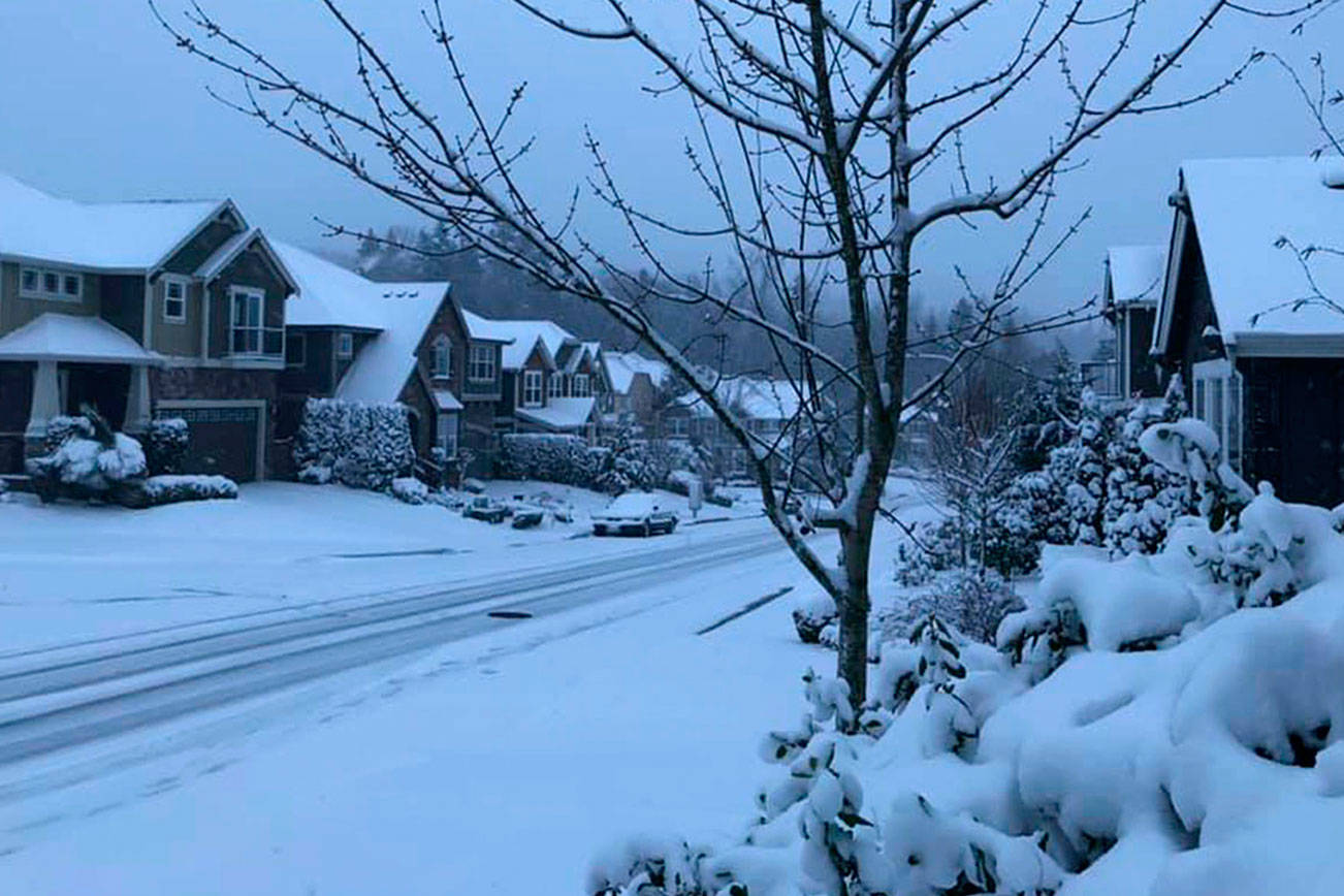 Reader submitted photo of snow in Renton, by Silke Prelog