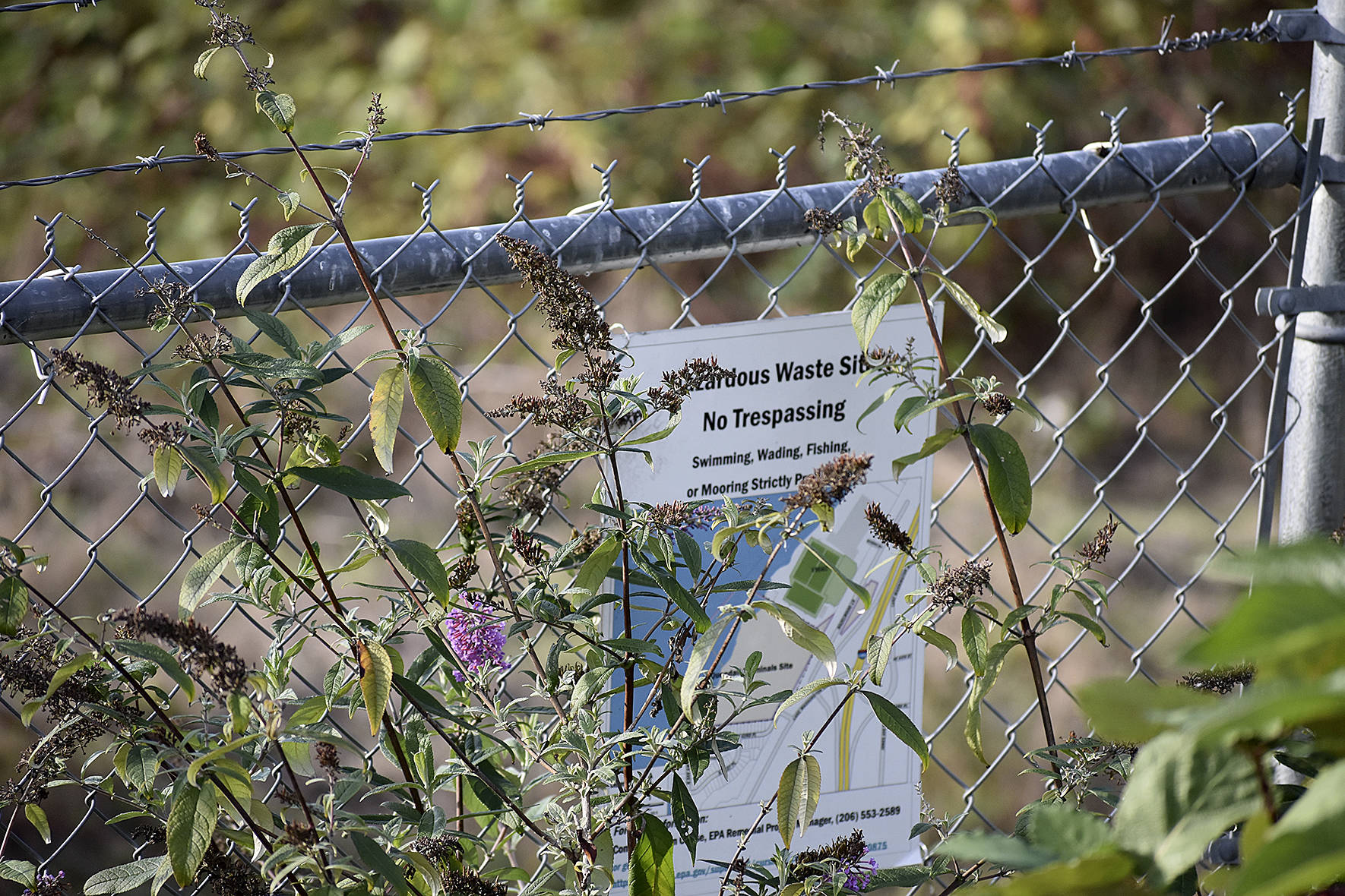 Photo by Haley Ausbun. The Quendall Terminals site is fenced off and signage warns folks from approaching. But property owners and EPA want to clean it up and making it livable, shop-able, enjoyable Lake Washington waterfront property.