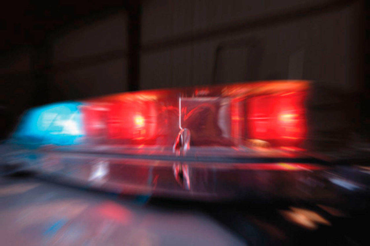 K-9 tracks stabbing suspect