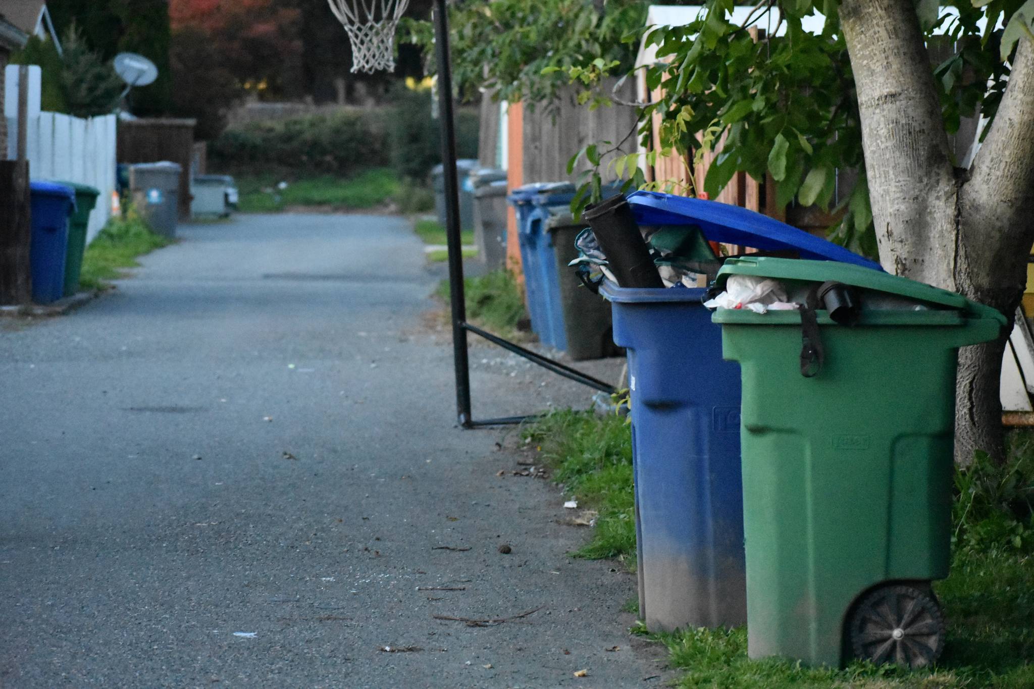 Mayor wants to reexamine trash services