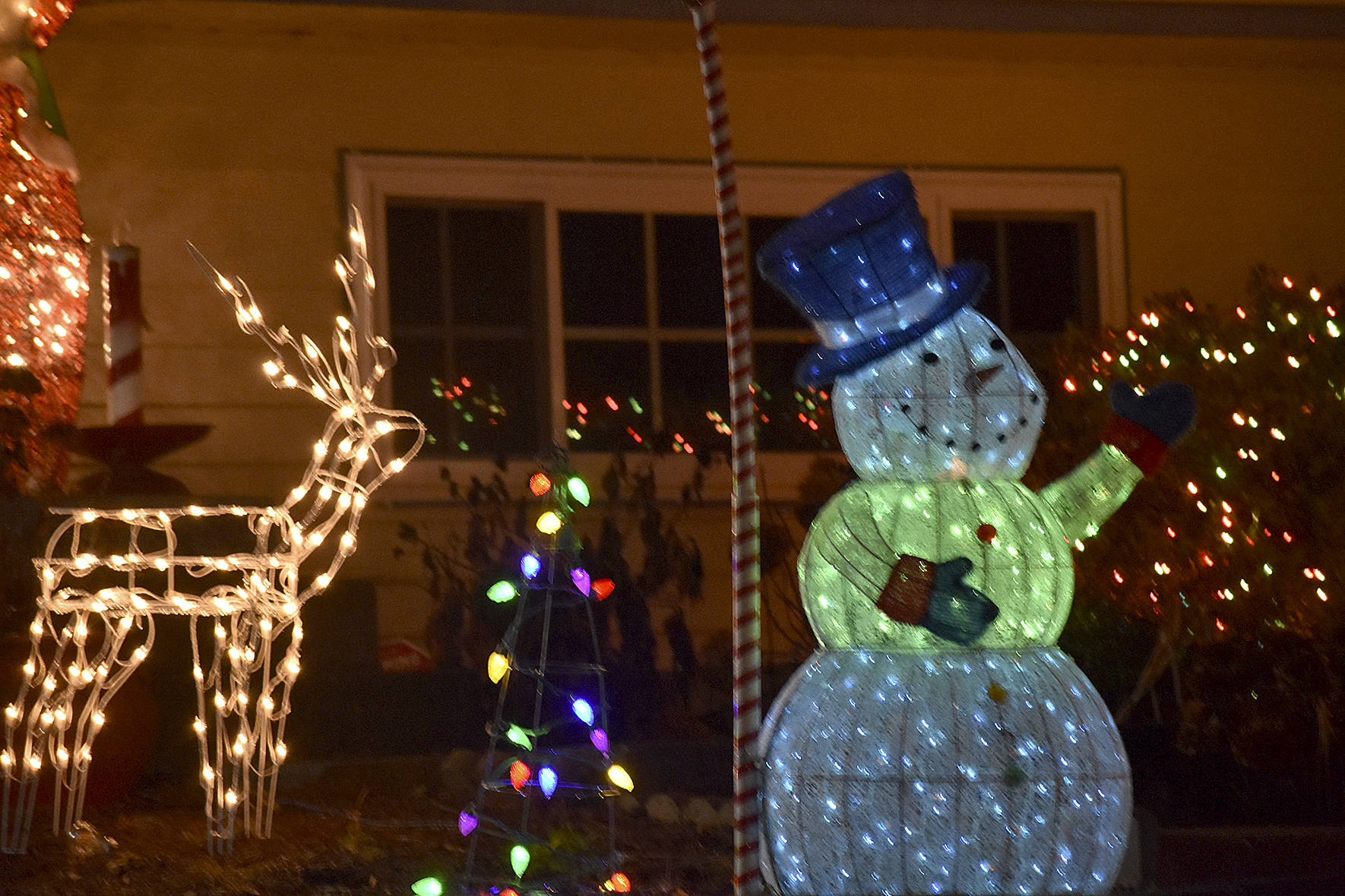 Renton lights up for the holidays