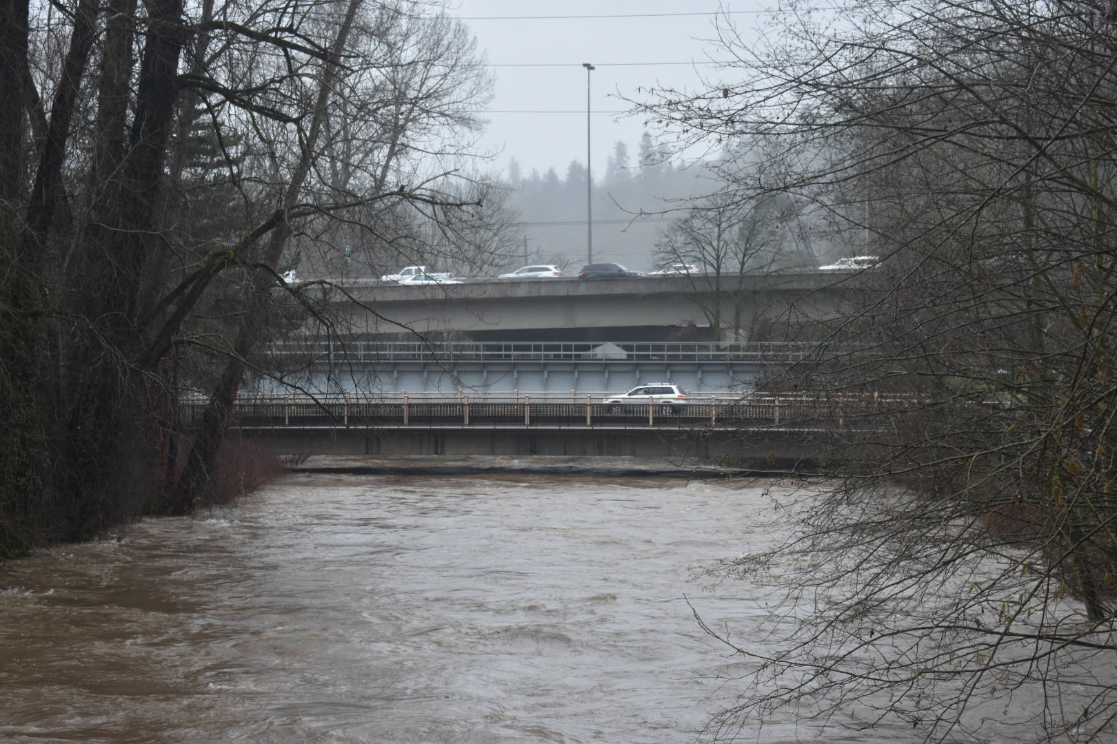 Photo by Haley Ausbun. The Cedar River was high as several streets in and near Renton faced closures due to flooding, Thursday, Feb. 6.