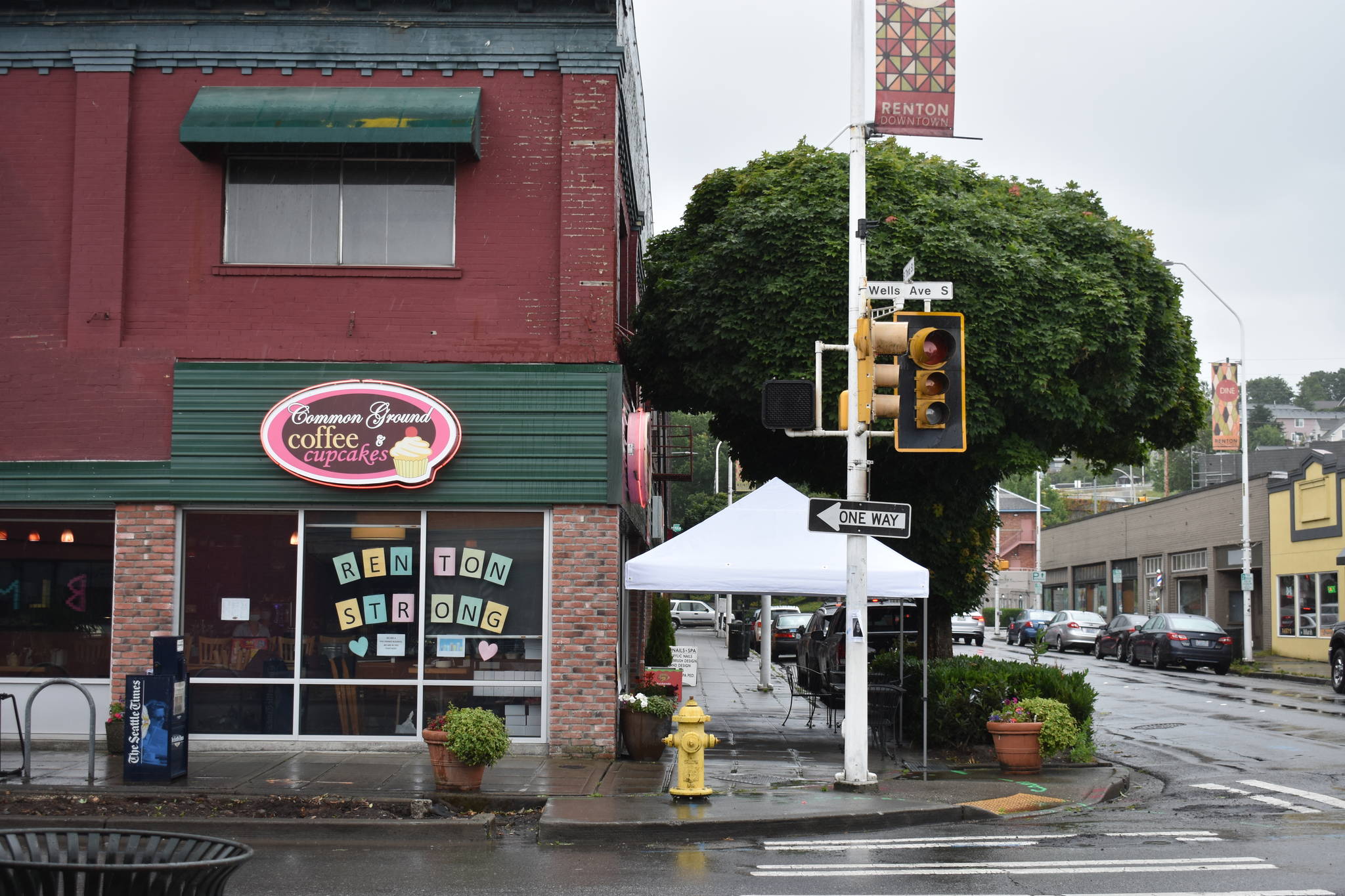 On Monday afternoon, the newer trees around Common Ground Coffee and Cupcakes were already removed but the at-least 13 year old Maple tree remained at an intersection that is being improved for the Wells and Williams two-way conversion project. Photo by Haley Ausbun.