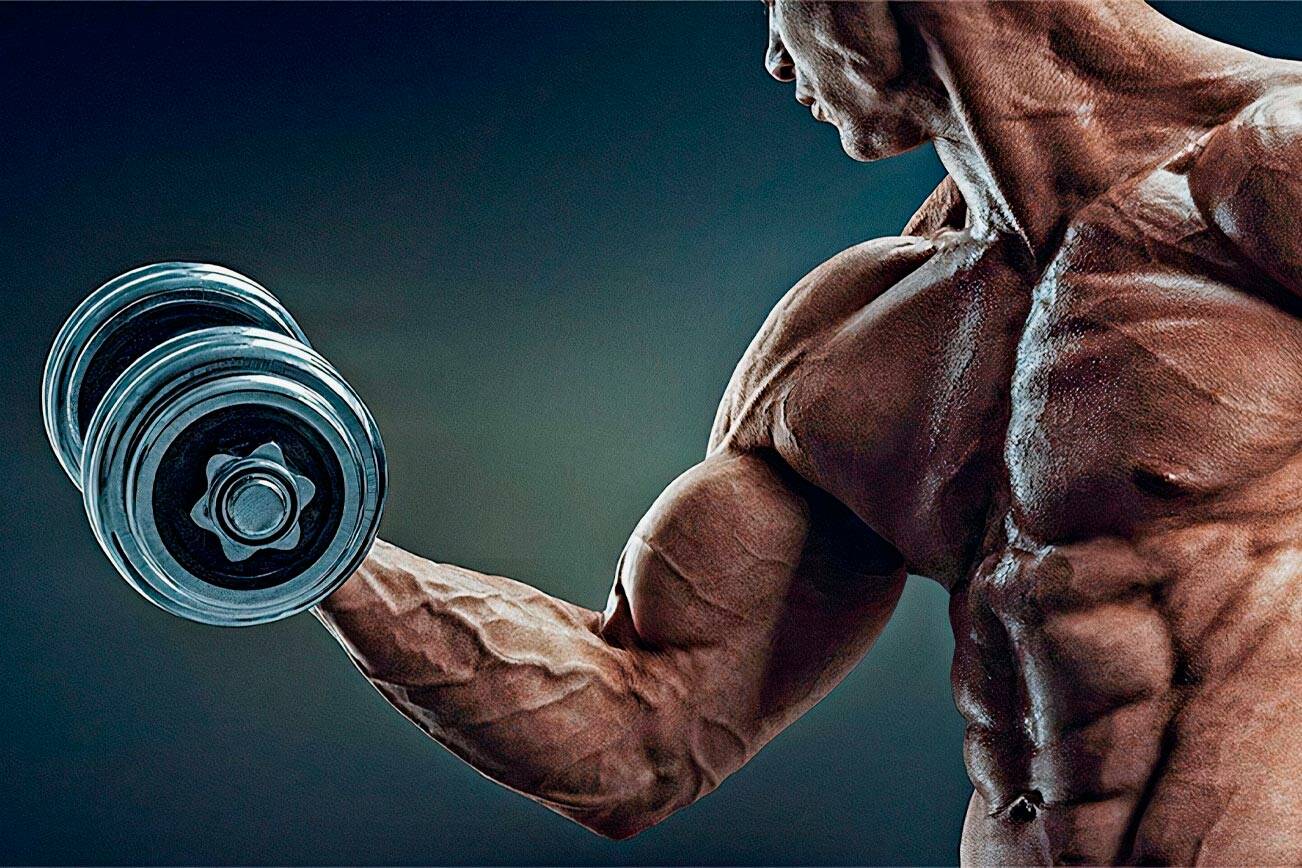 New Article Reveals importance of Best muscle building supplements