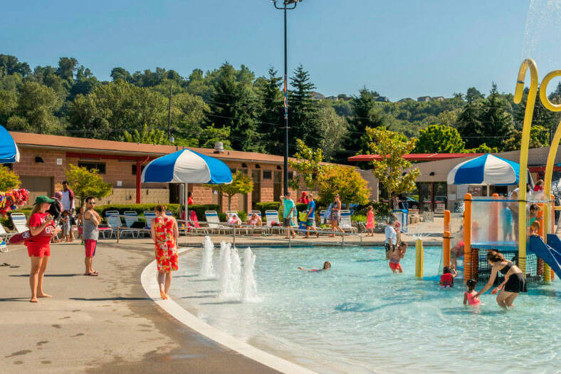 Henry Moses Aquatic Center (Screenshot from Renton Chamber of Commerce website)