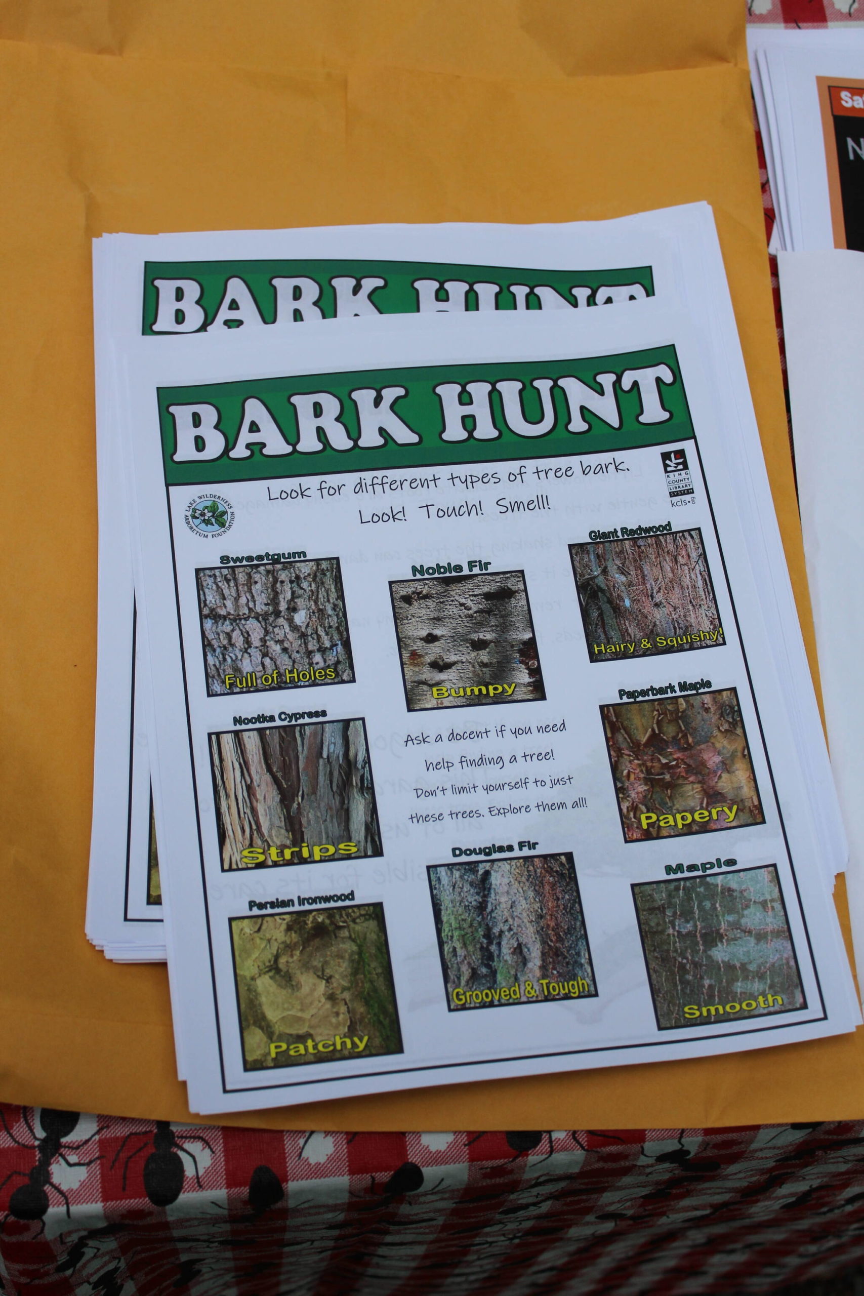 Children were given Bark Hunt flyers to help identify and experience the different bark in the Lake Wilderness Arboretum. Photo by Bailey Jo Josie/Sound Publishing.